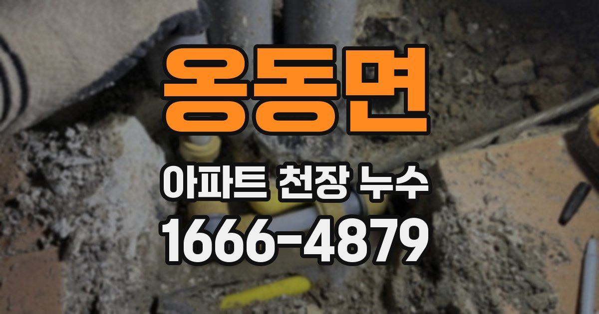 옹동면 아파트 천장 누수