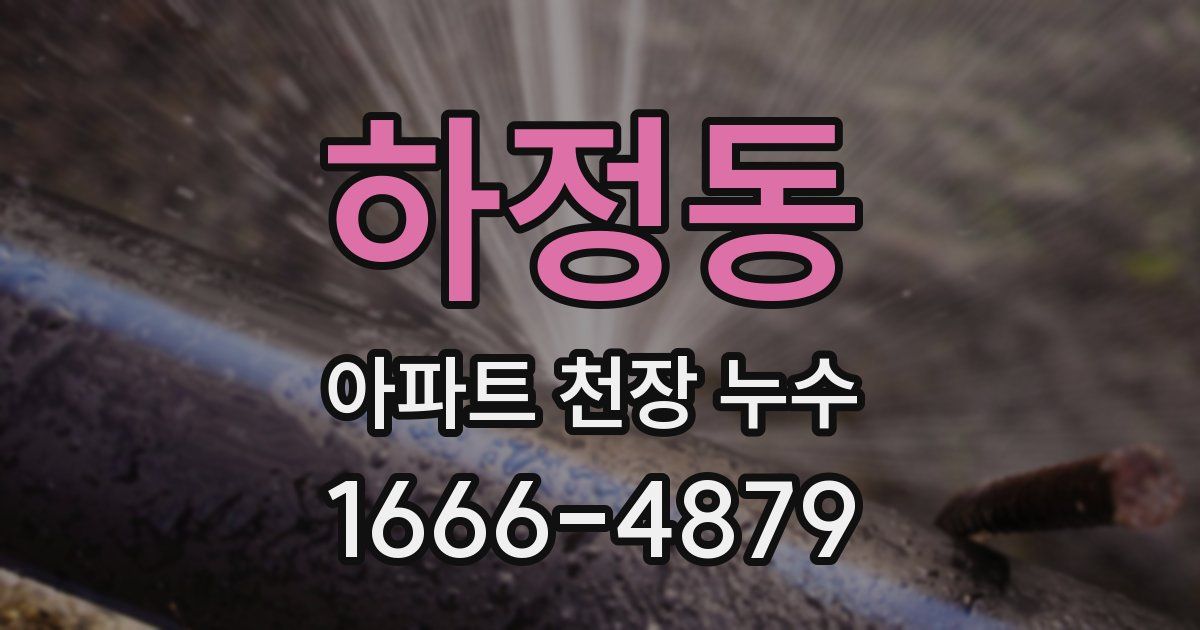 하정동 아파트 천장 누수