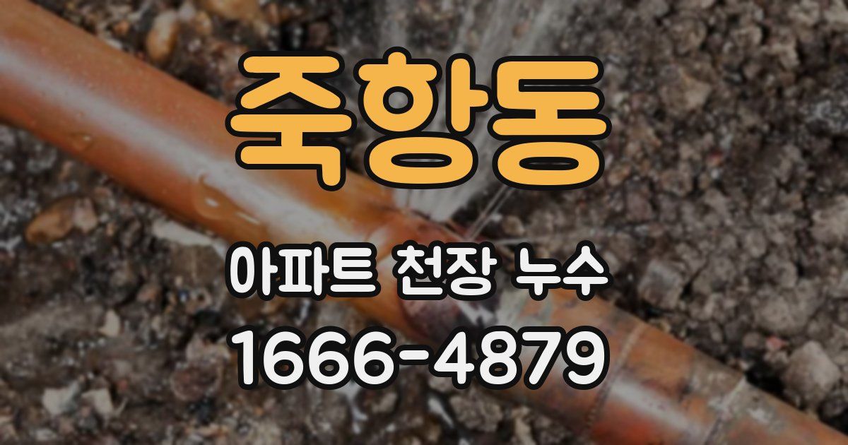 죽항동 아파트 천장 누수