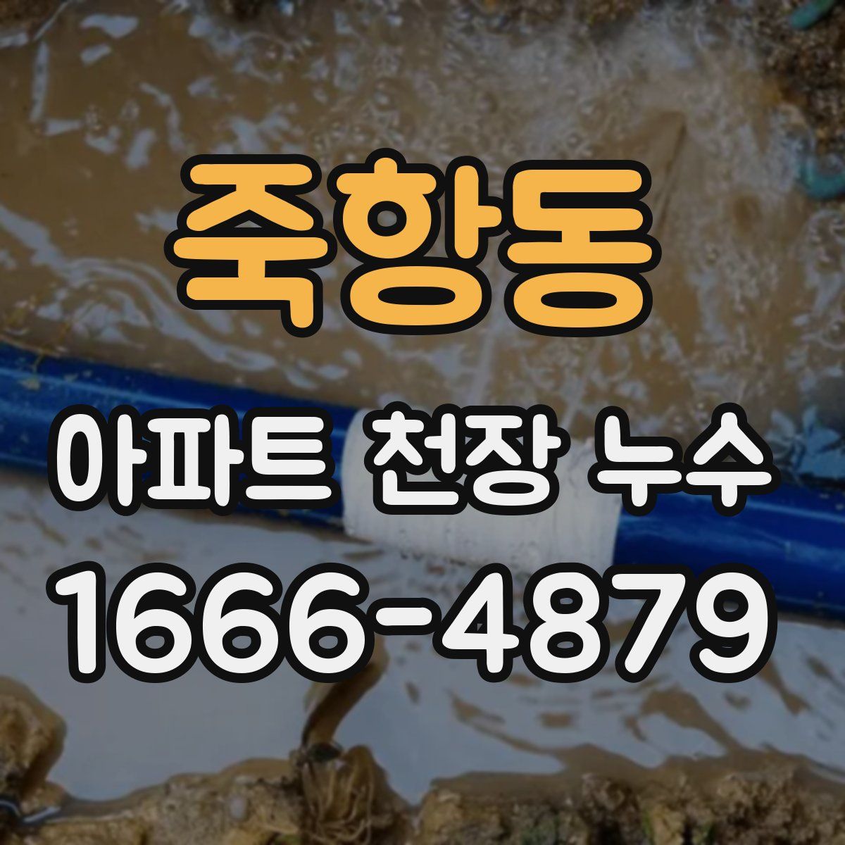 죽항동 아파트 천장 누수