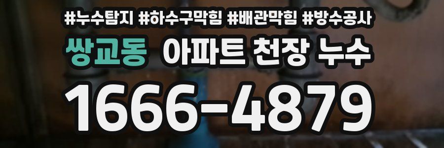 쌍교동 아파트 천장 누수