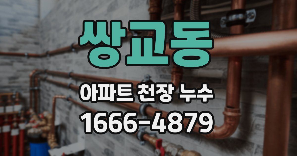 쌍교동 아파트 천장 누수