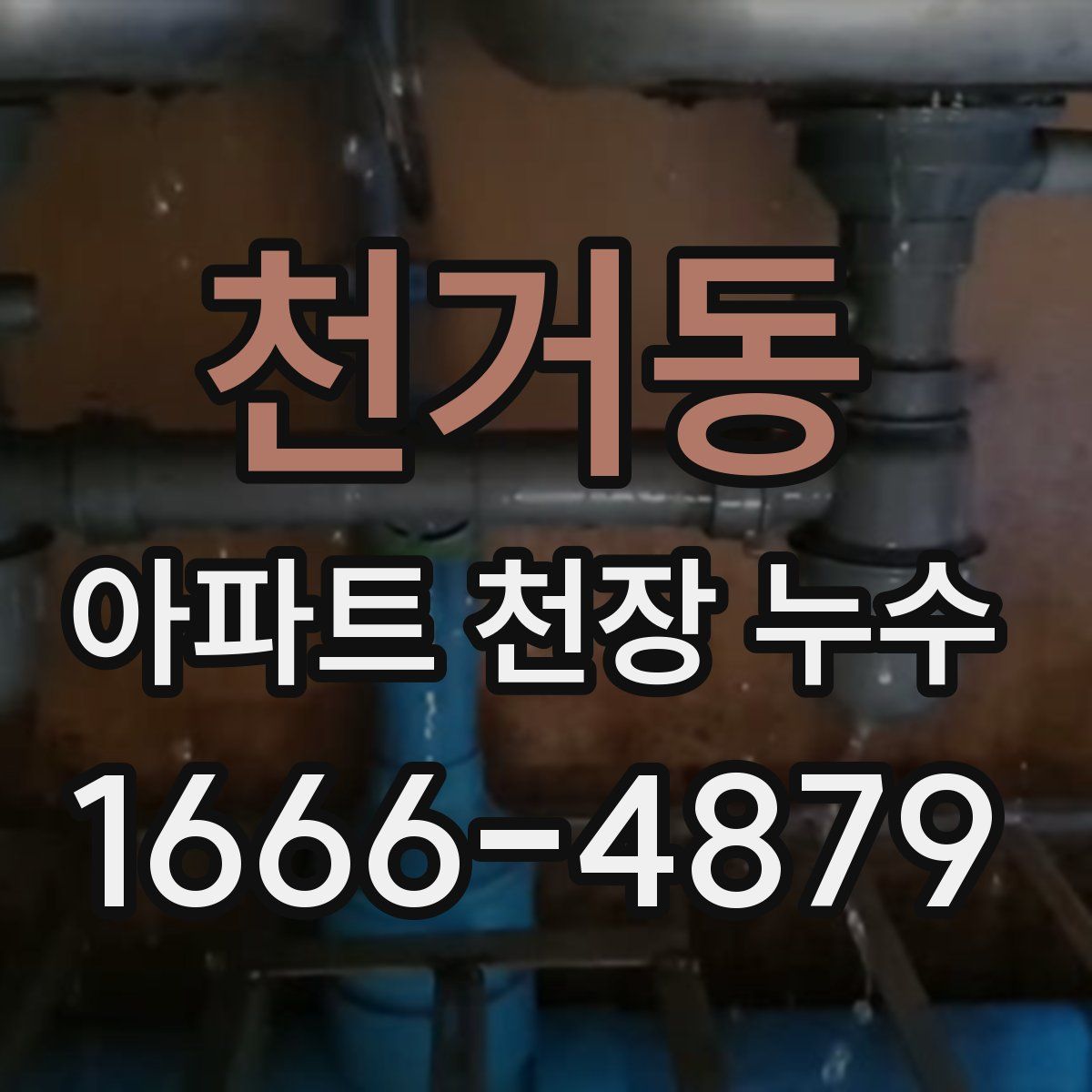 천거동 아파트 천장 누수