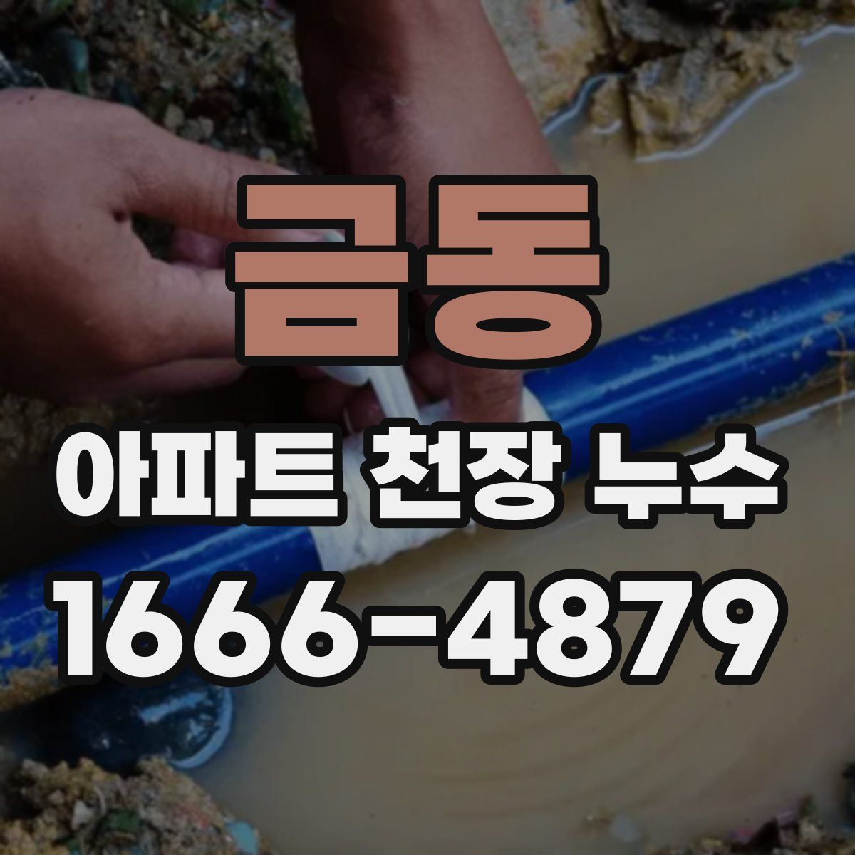 금동 아파트 천장 누수