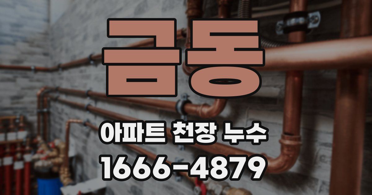 금동 아파트 천장 누수
