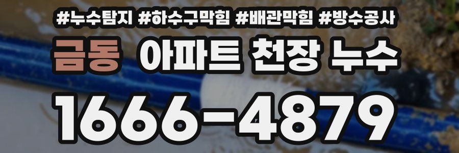 금동 아파트 천장 누수