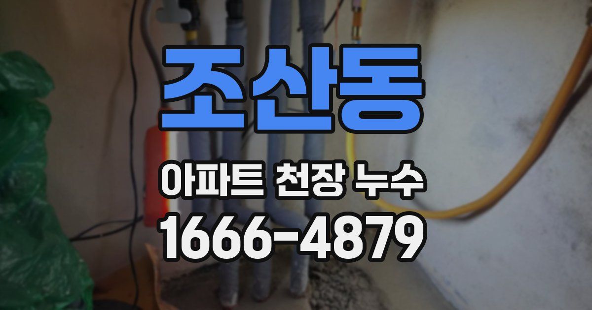 조산동 아파트 천장 누수