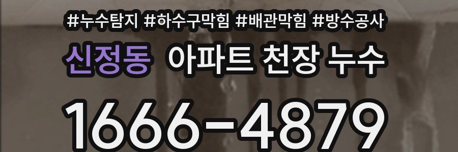 신정동 아파트 천장 누수