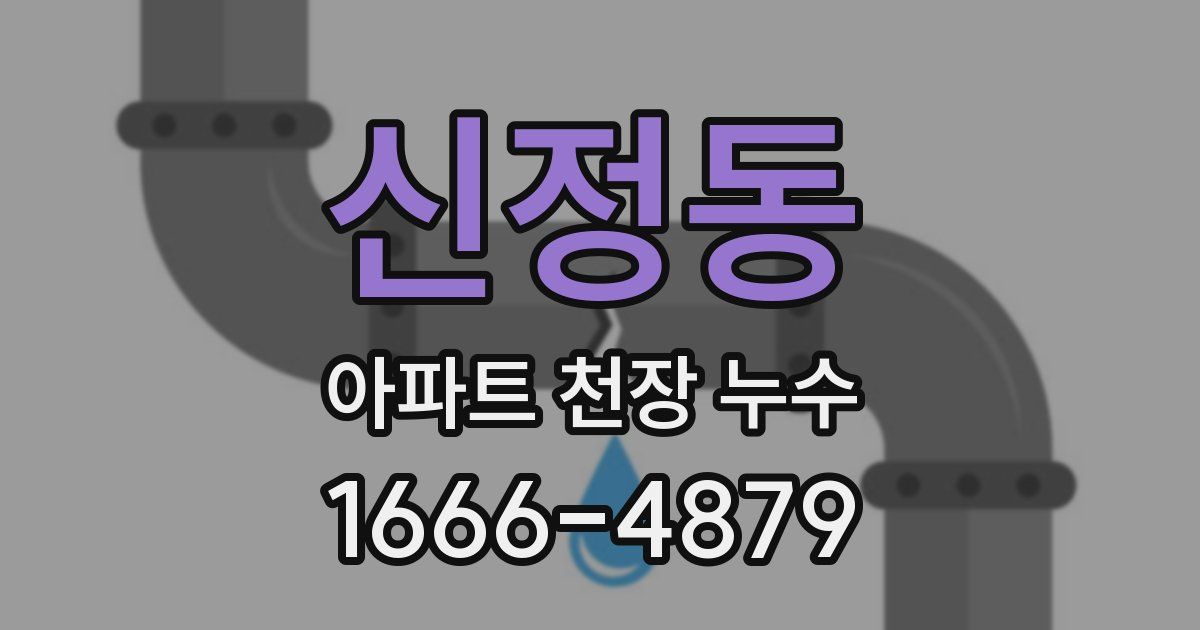신정동 아파트 천장 누수