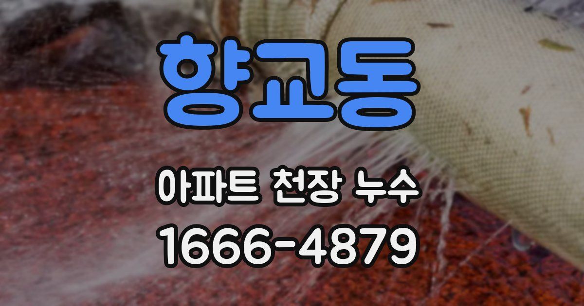 향교동 아파트 천장 누수
