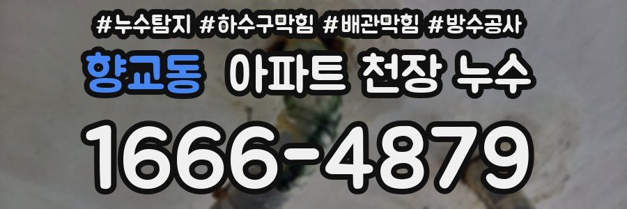 향교동 아파트 천장 누수