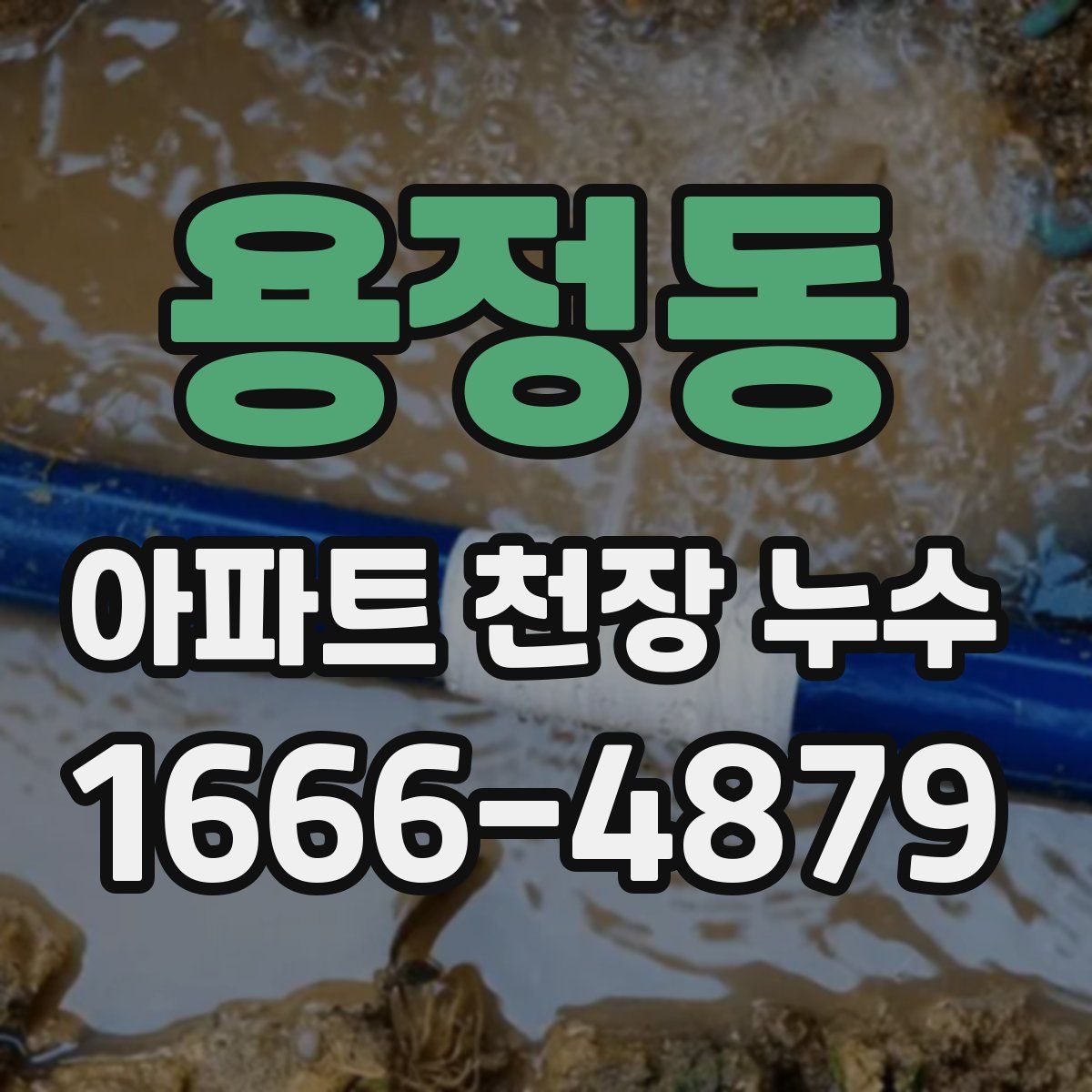 용정동 아파트 천장 누수