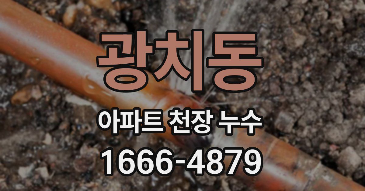 광치동 아파트 천장 누수