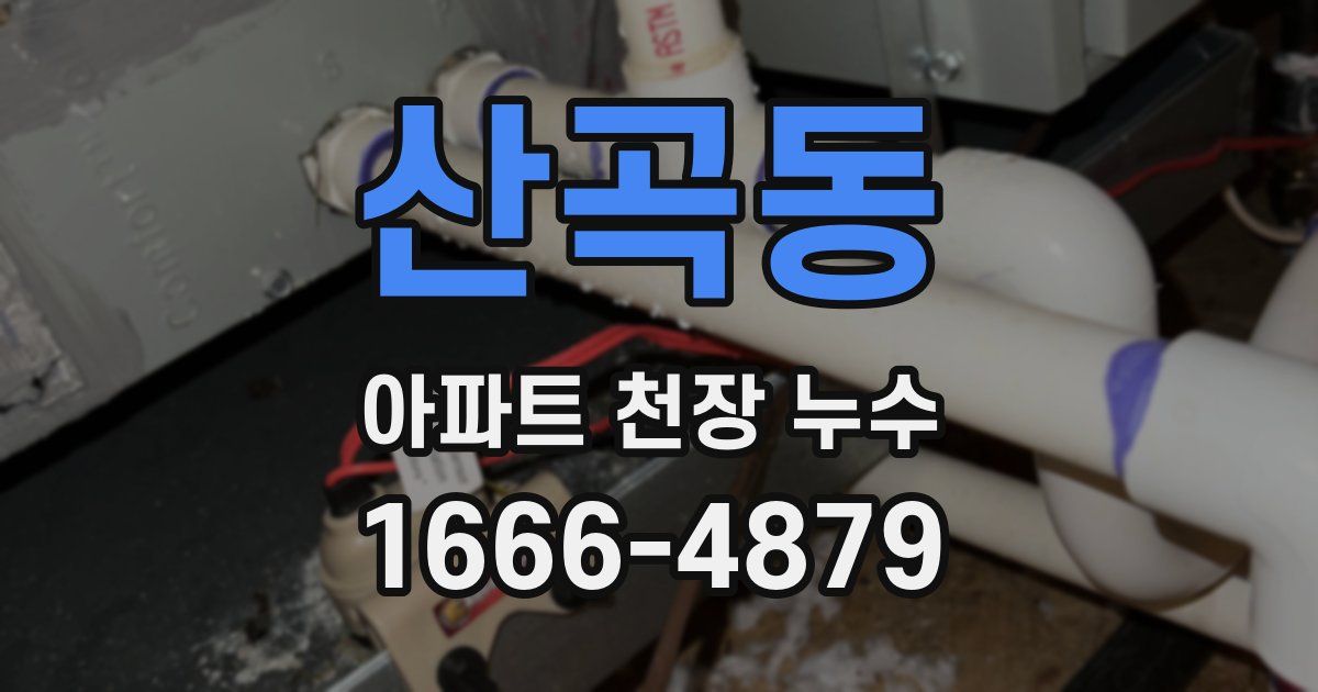 산곡동 아파트 천장 누수