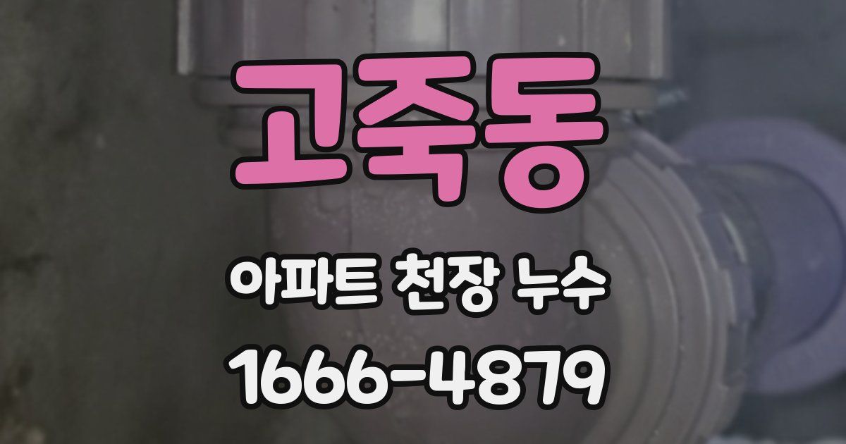 고죽동 아파트 천장 누수