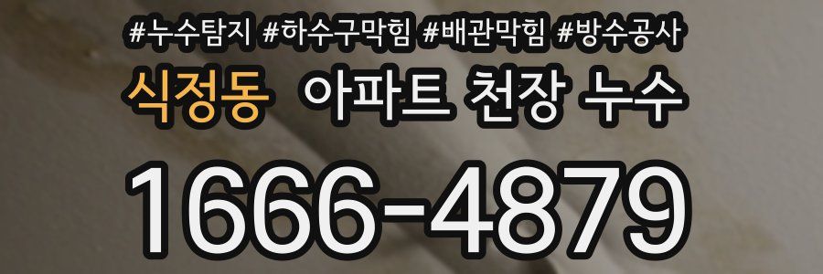 식정동 아파트 천장 누수