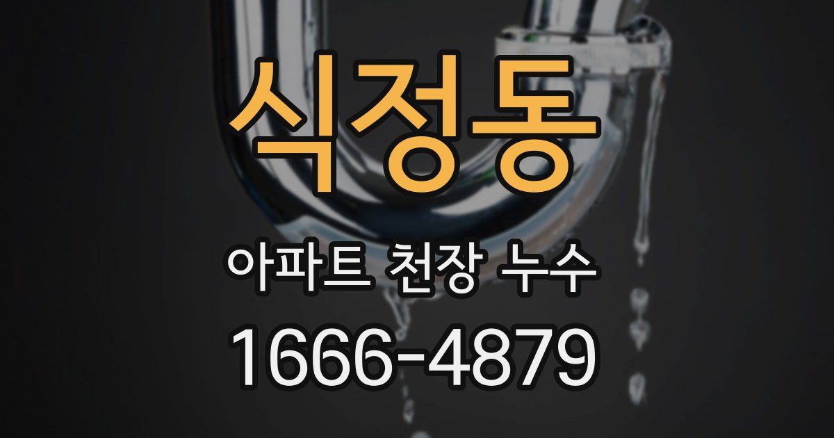 식정동 아파트 천장 누수