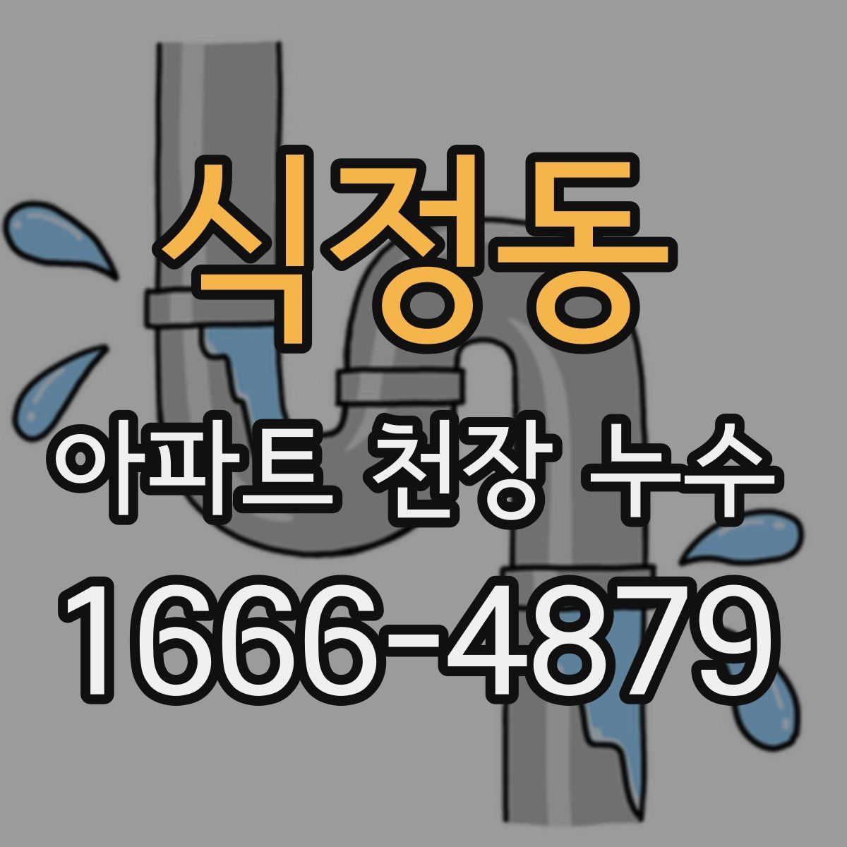 식정동 아파트 천장 누수