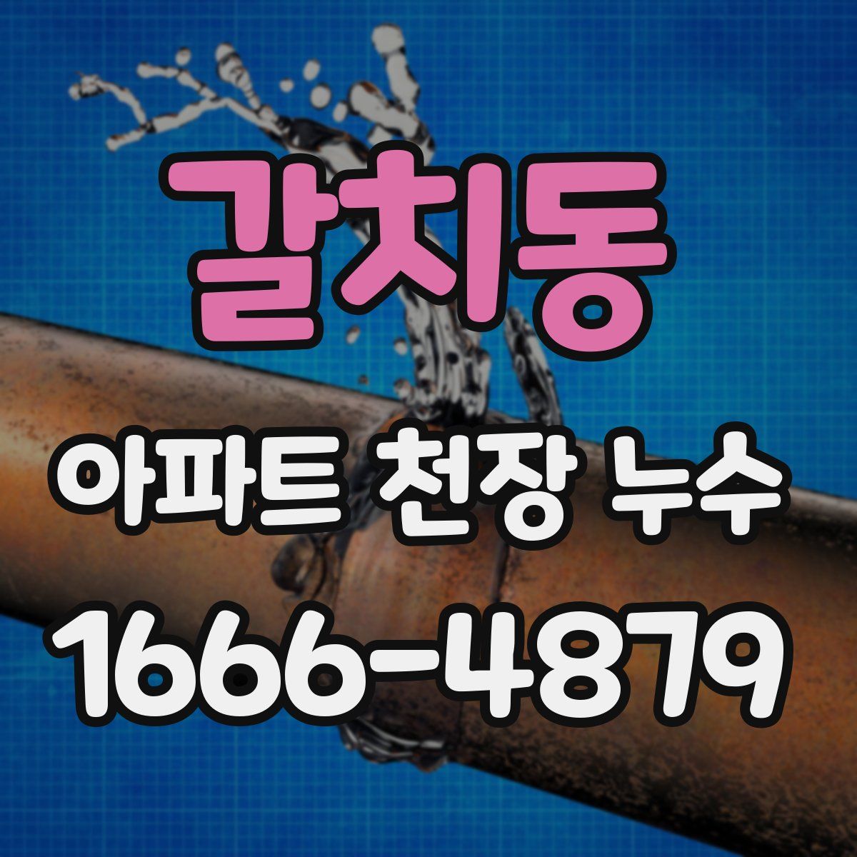 갈치동 아파트 천장 누수