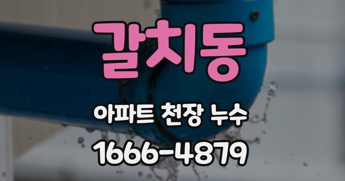 갈치동 아파트 천장 누수