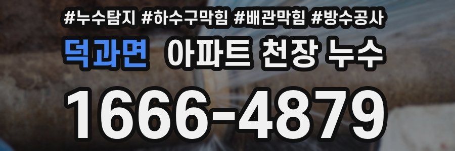 덕과면 아파트 천장 누수