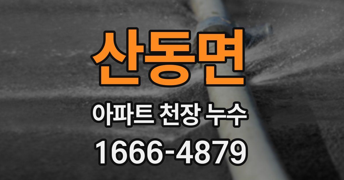 산동면 아파트 천장 누수