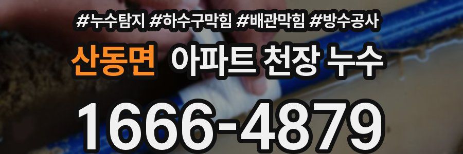 산동면 아파트 천장 누수
