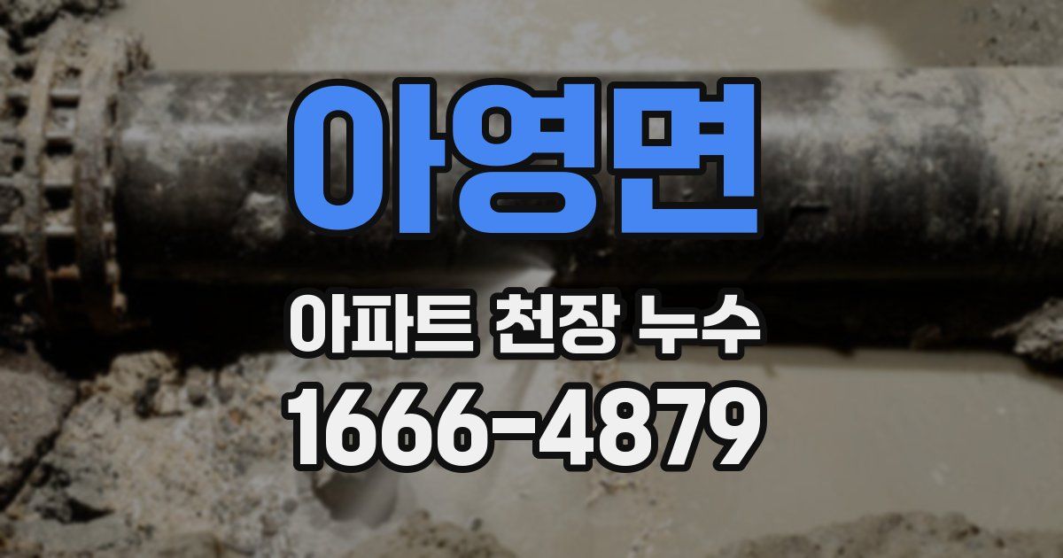 아영면 아파트 천장 누수