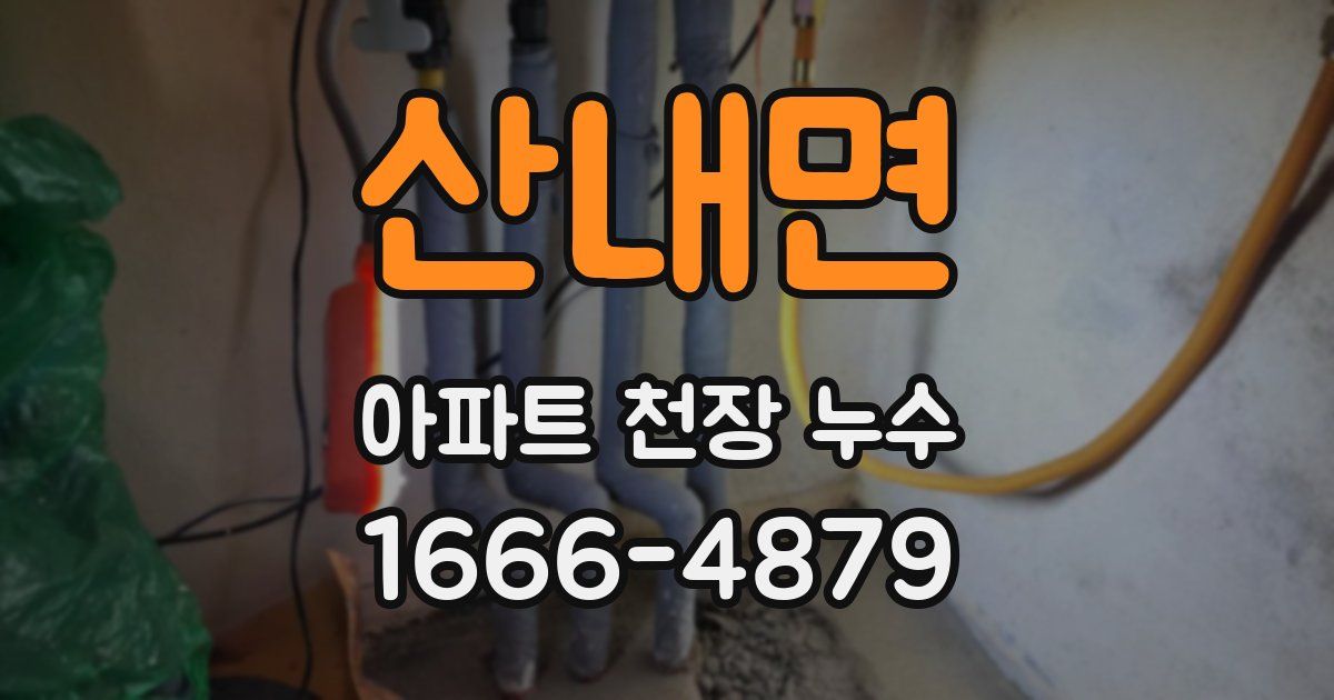 산내면 아파트 천장 누수