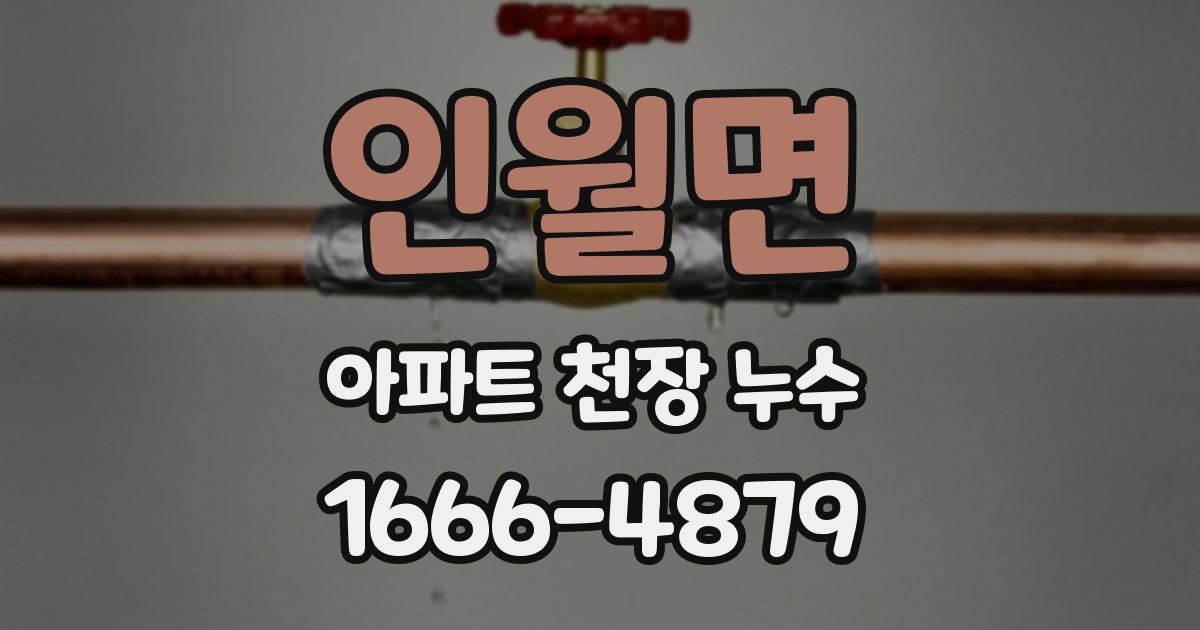 인월면 아파트 천장 누수