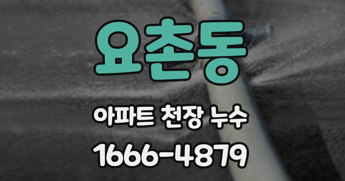 요촌동 아파트 천장 누수