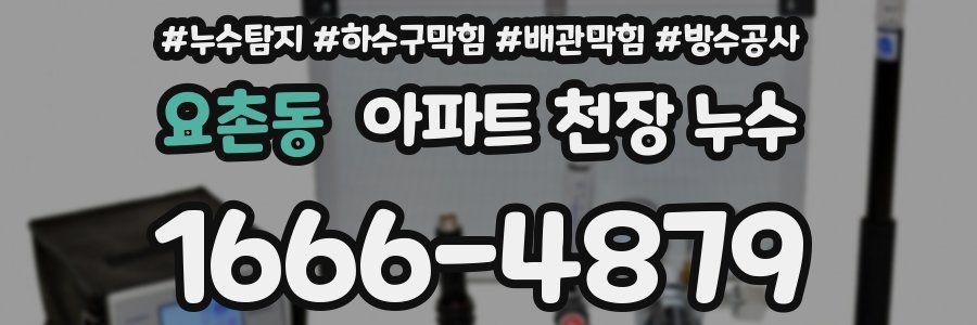 요촌동 아파트 천장 누수