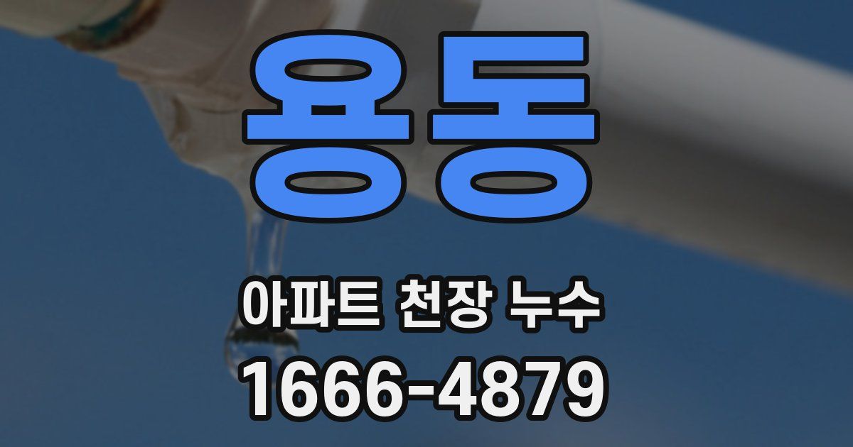 용동 아파트 천장 누수
