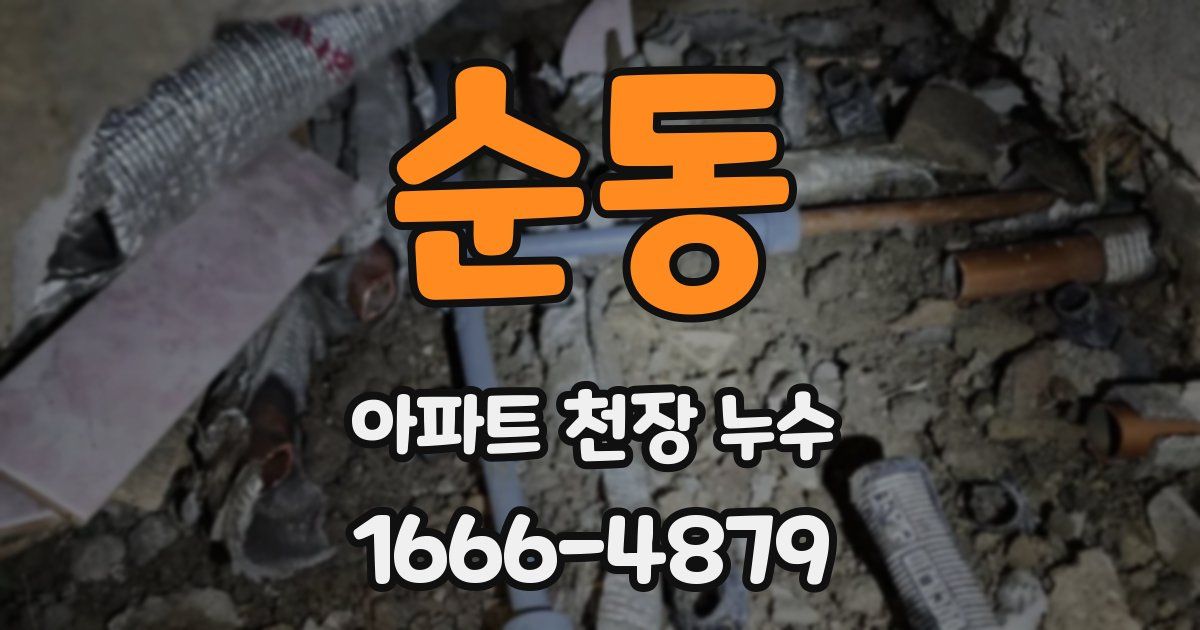 순동 아파트 천장 누수