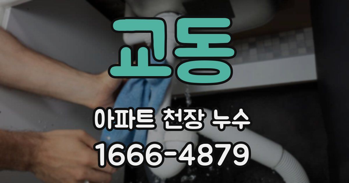 교동 아파트 천장 누수