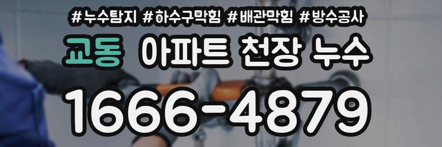 교동 아파트 천장 누수