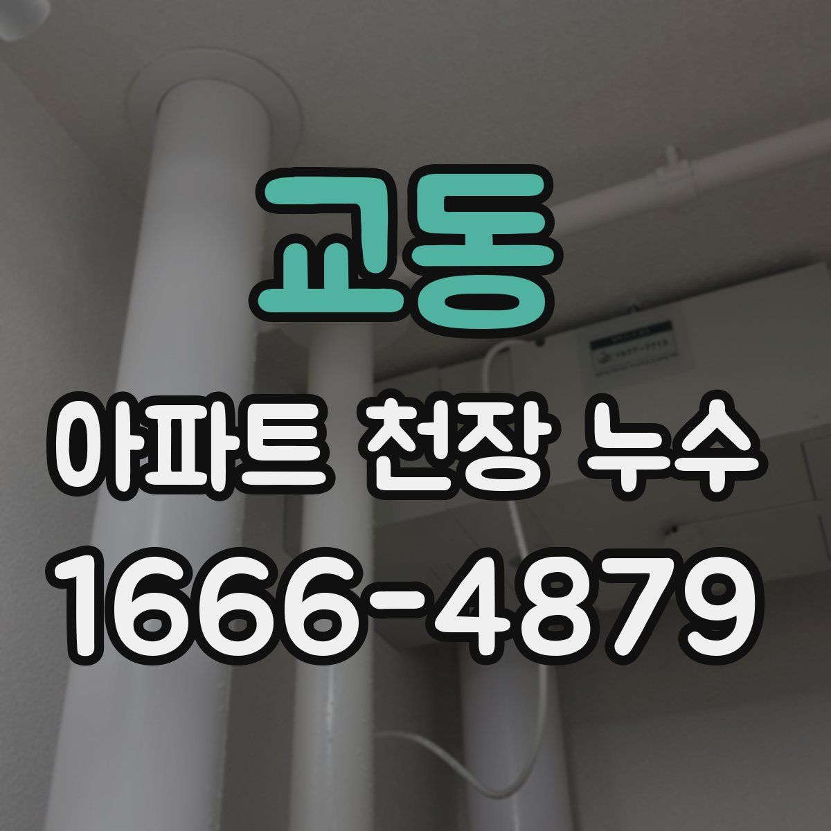 교동 아파트 천장 누수