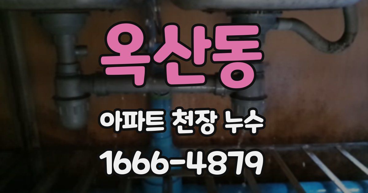 옥산동 아파트 천장 누수