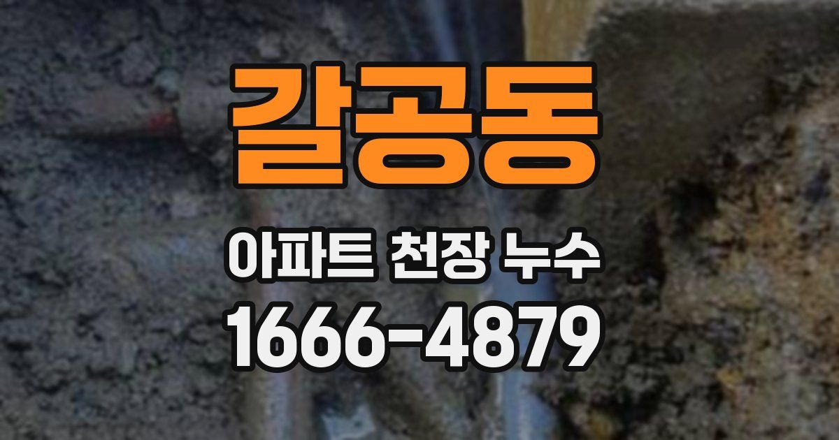 갈공동 아파트 천장 누수