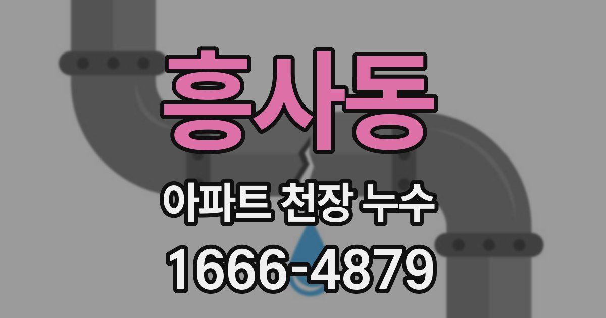 흥사동 아파트 천장 누수