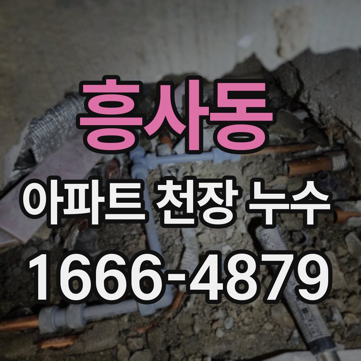흥사동 아파트 천장 누수