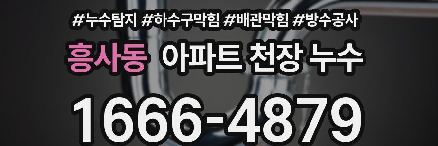 흥사동 아파트 천장 누수