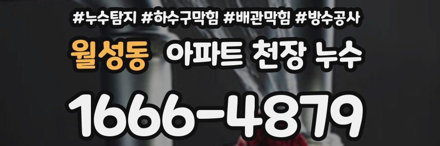 월성동 아파트 천장 누수