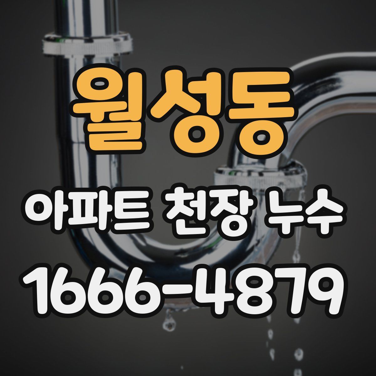 월성동 아파트 천장 누수