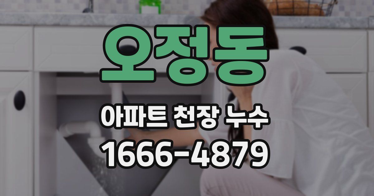 오정동 아파트 천장 누수