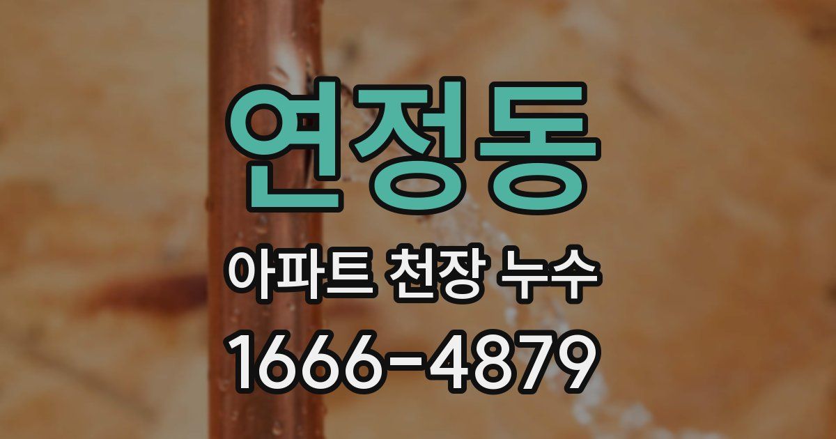 연정동 아파트 천장 누수