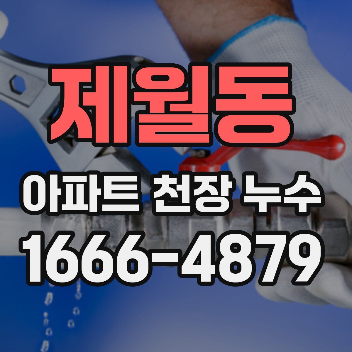 제월동 아파트 천장 누수