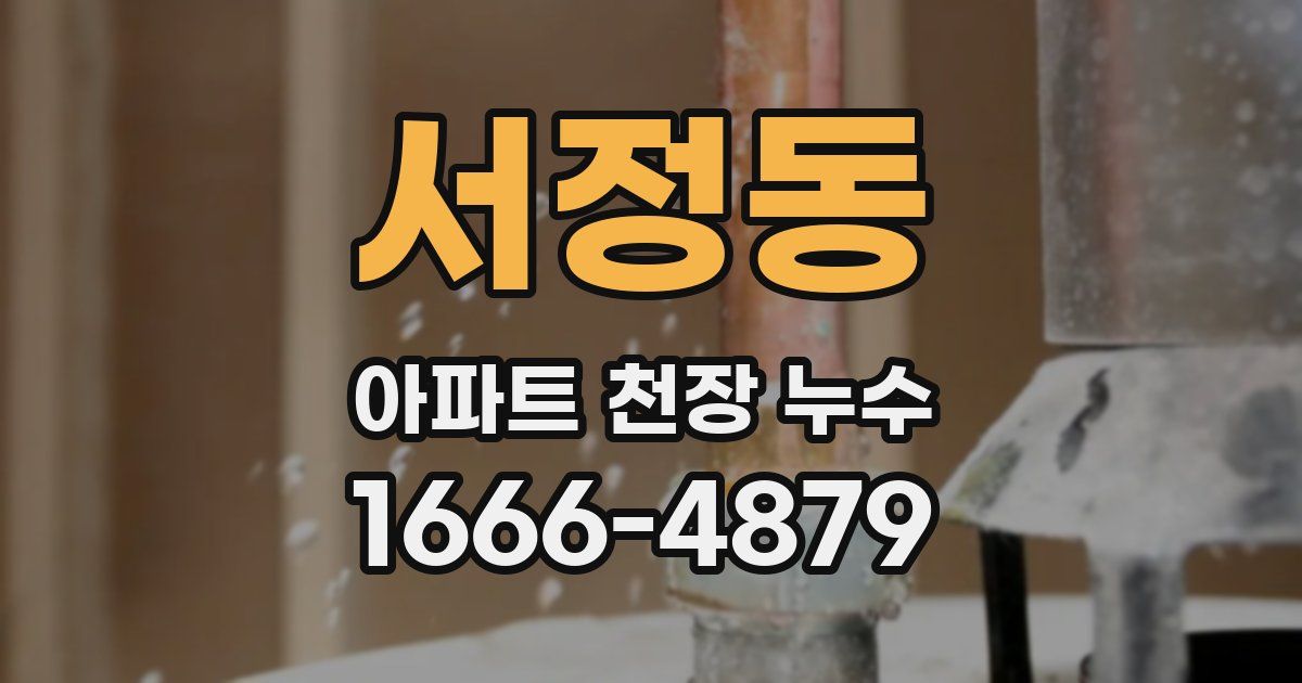 서정동 아파트 천장 누수