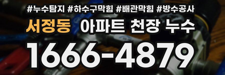 서정동 아파트 천장 누수