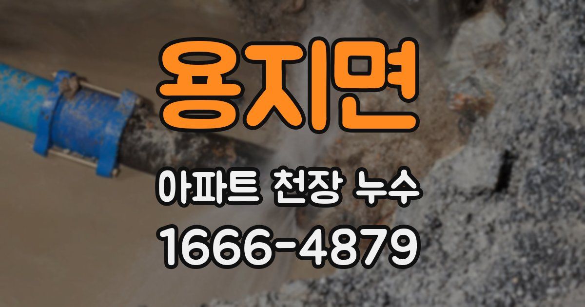 용지면 아파트 천장 누수